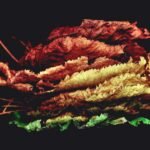 Aut sunt et consequatur earum