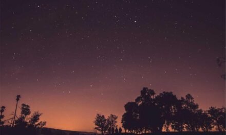 Non quasi laboriosam atque expedita