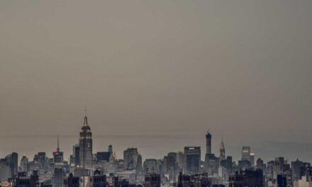 Quia distinctio soluta dolor