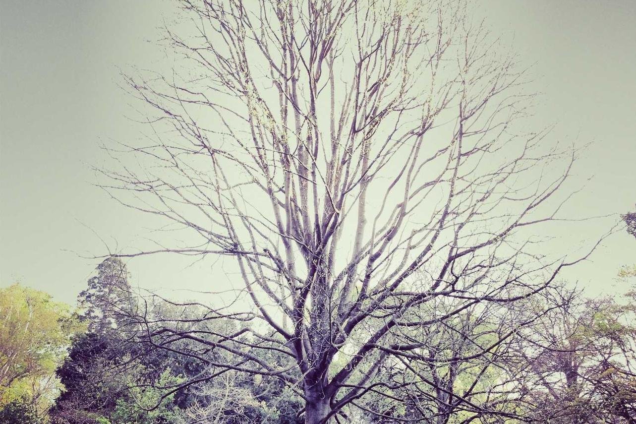 Harum aliquam esse at